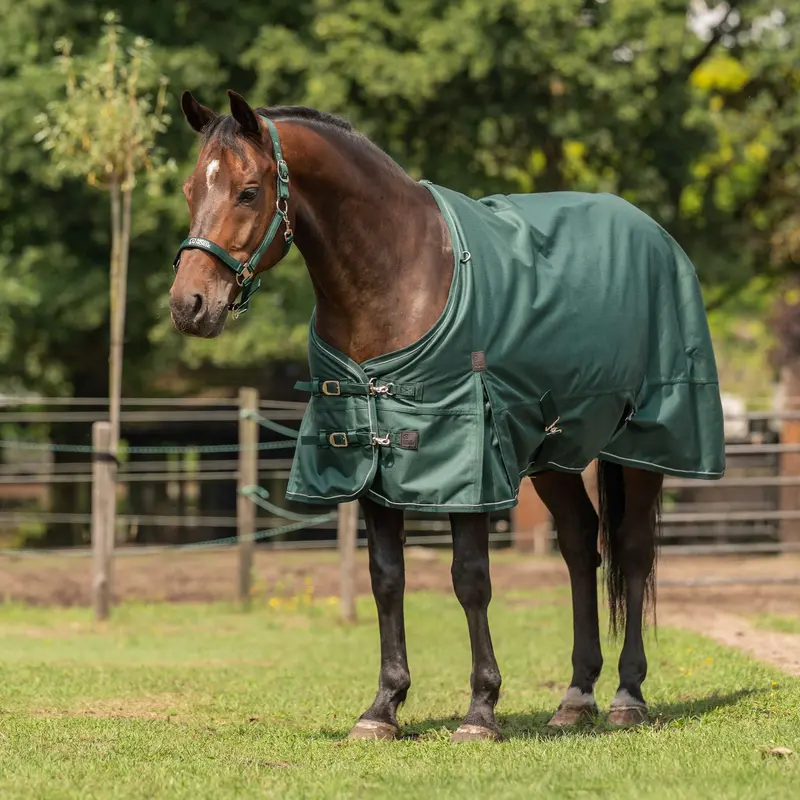 Agradi 1200D Outdoor Turnout Rug – 300G Fill With Reflective Binding In Green 1