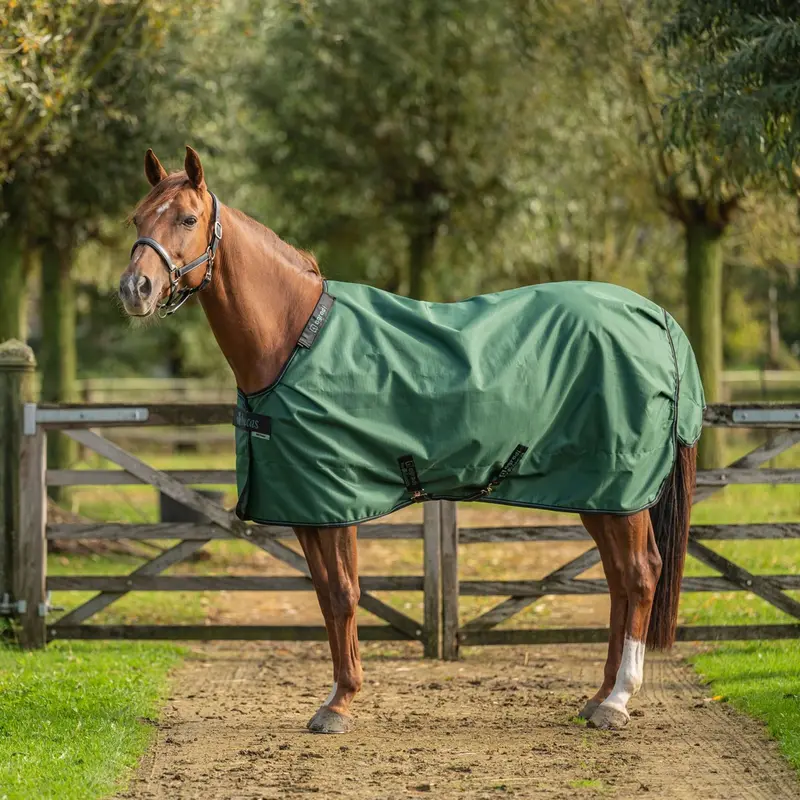 Agradi By Bucas Lightweight Turnout Rug (0G) – Green/Black 1