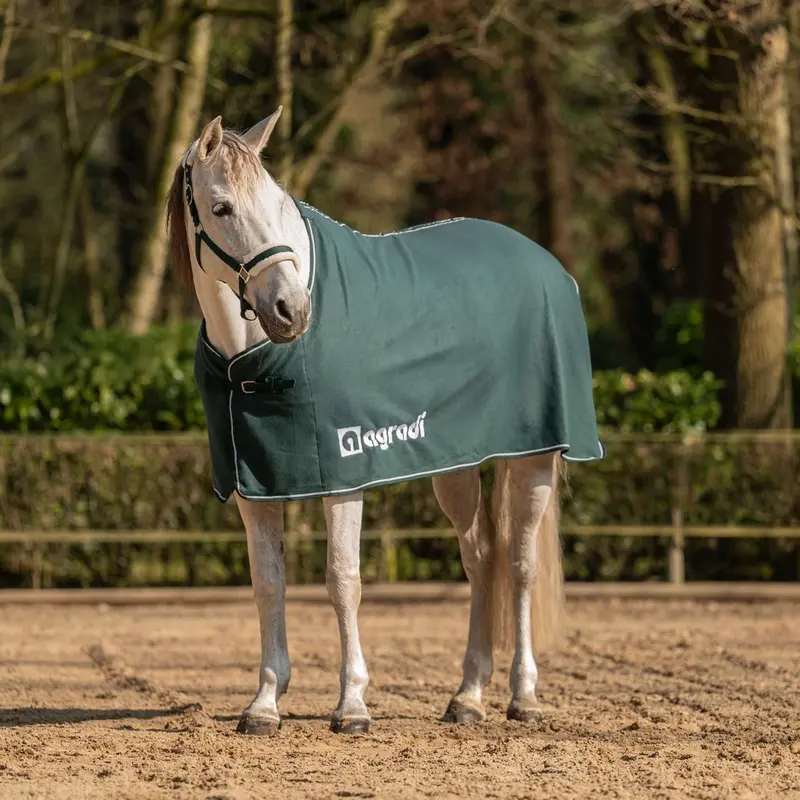 Agradi Horse Fleece-Lined Economic Stable Blanket – Fir Green 1