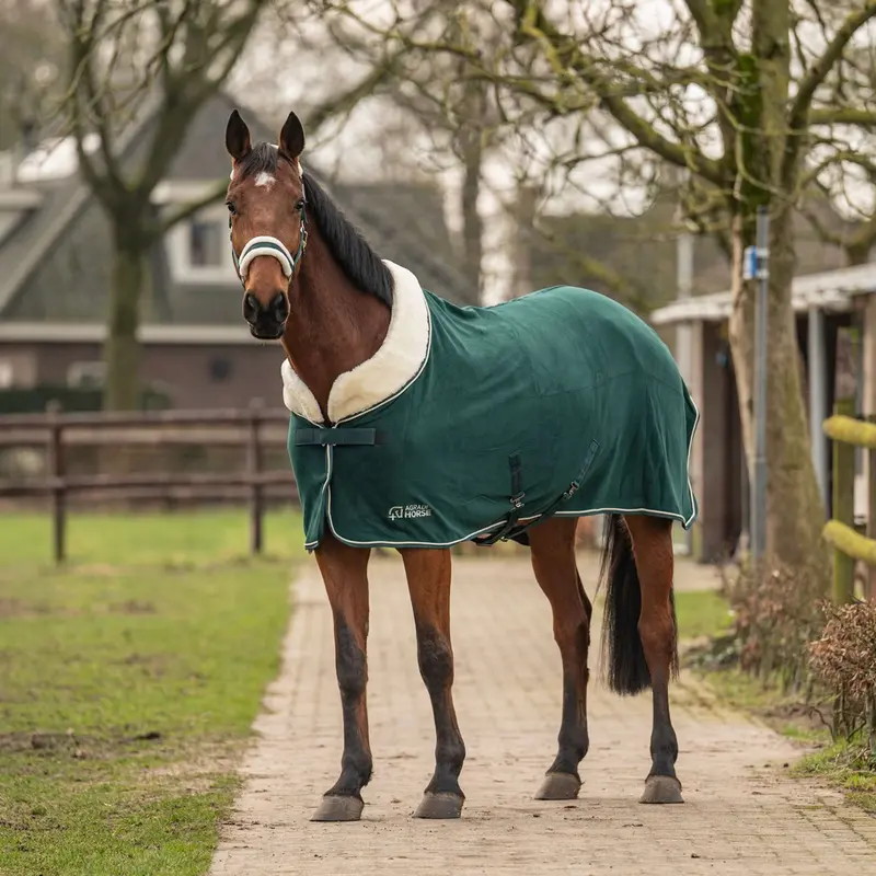 Agradi Horse Modern Rosé Fleece Blanket In Fir Green 1