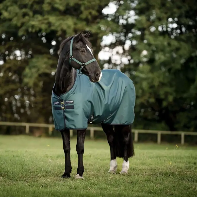 Amigo Dynasty Green/Navy/Silver Ripstop Fleece-Lined Rug – 900D, 50G 1