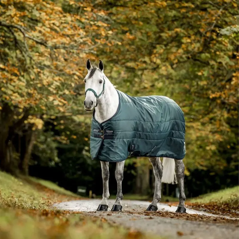 Amigo Ripstop Insulated Stable Sheet – 350G Fill, Dynasty Green/Navy/Silver 1