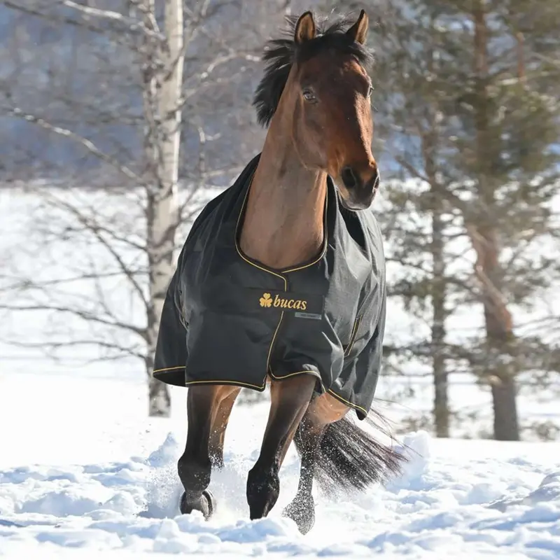 Bucas Irish Turnout Blanket – 100G Fill, Black With Gold Trim 1