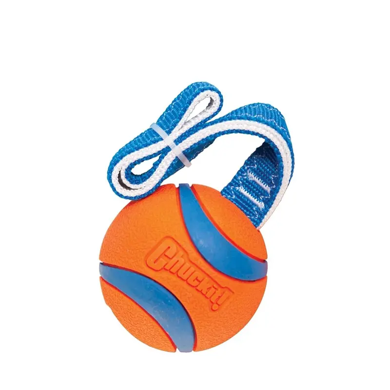 Chuckit Ultra Tug Rope Toy 1