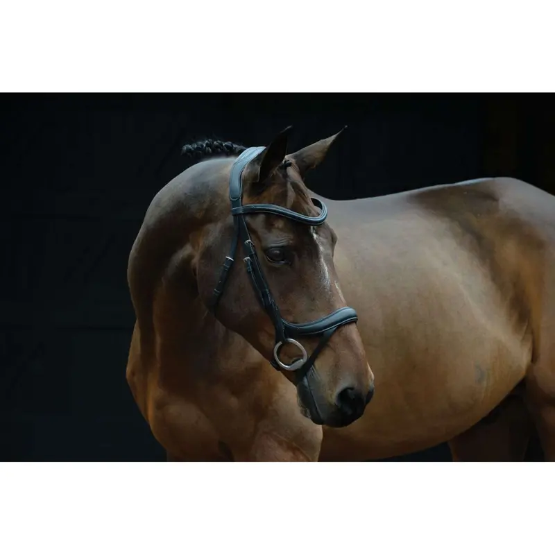 Collegiate Comfitec Vogue Anatomical Bridle – Black 1