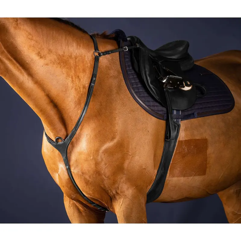 Dyon Bridge Breastplate – New English Collection In Black 1
