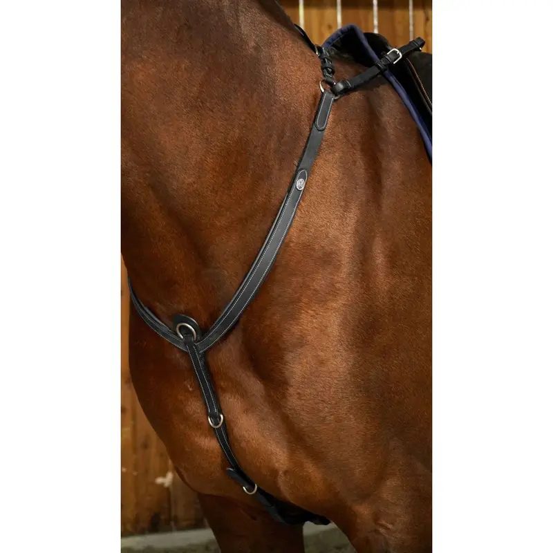 Dyon Bridge Working Breastplate – Black 1