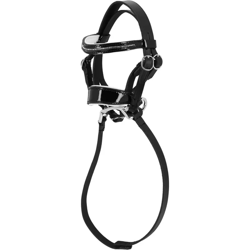 Equithème Pony Academy Dressage Bridle – Black 1