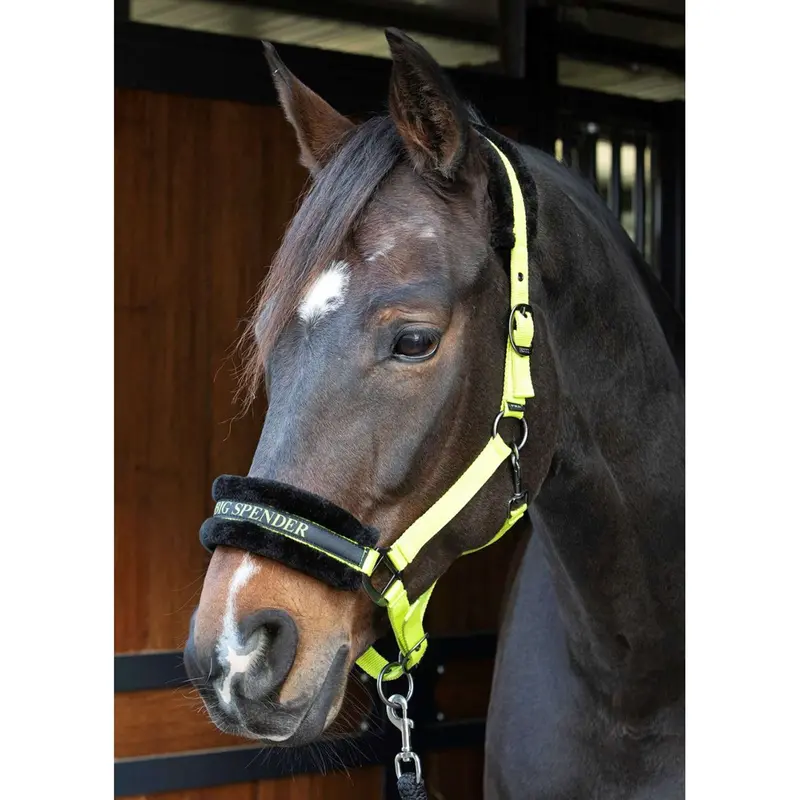 Harry'S Horse Lyrics-Inspired Halter – Lime Green 1