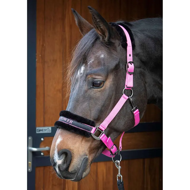 Harry'S Horse Lyrics-Themed Pink Halter With Quote Design 1