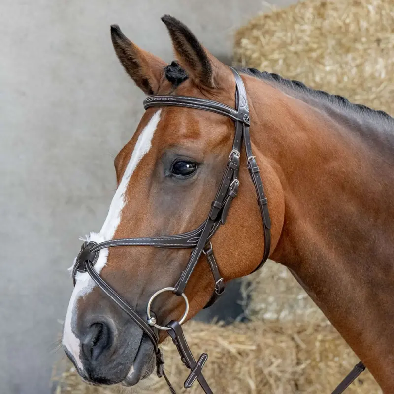 Harry'S Horse Mexican-Style Anatomic Bridle In Brown 1