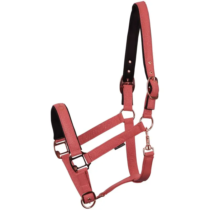 Harry'S Horse Pink Bitless Halter 1