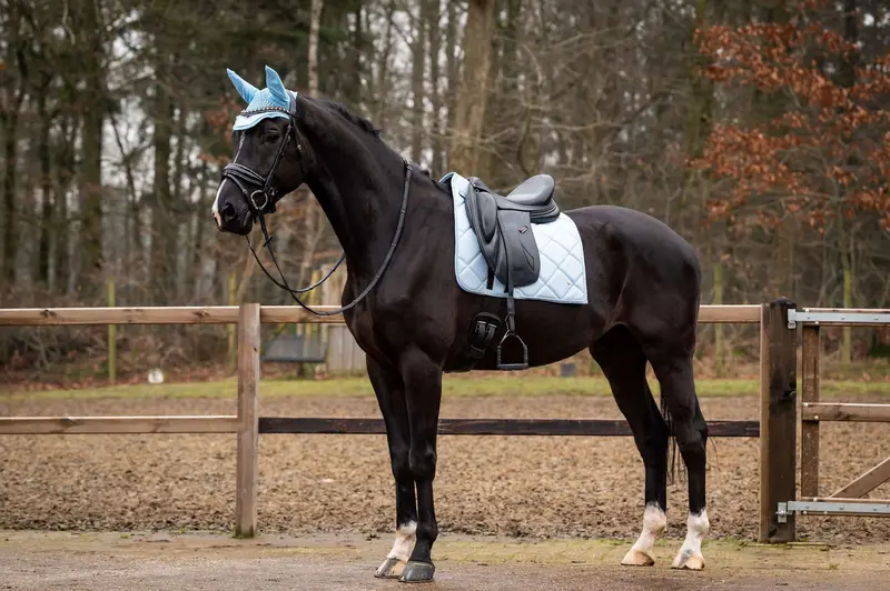 Hb Showtime Dressage Saddle Pad – Spring Collection, Light Blue 1