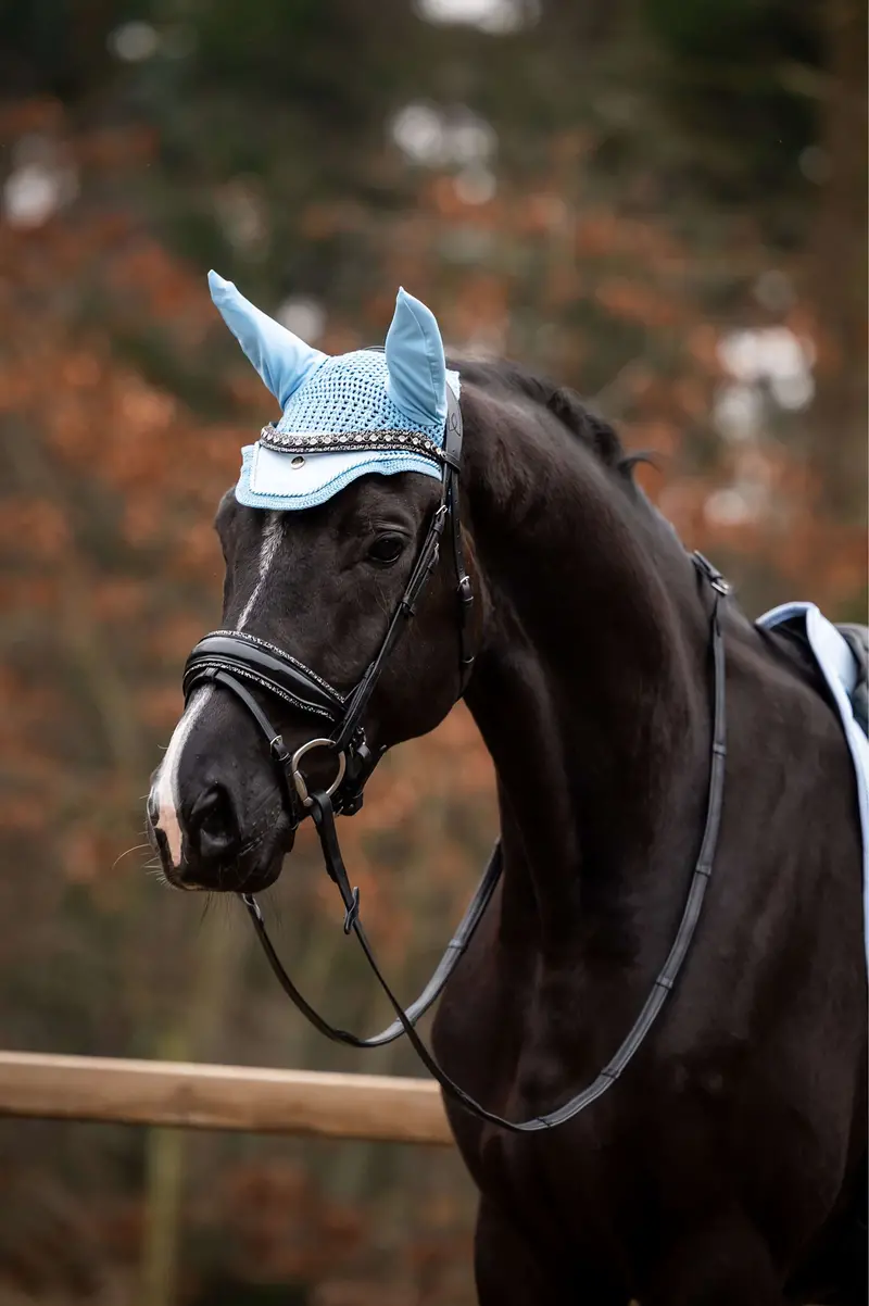 Hb Spring Show Ear Net In Light Blue 1