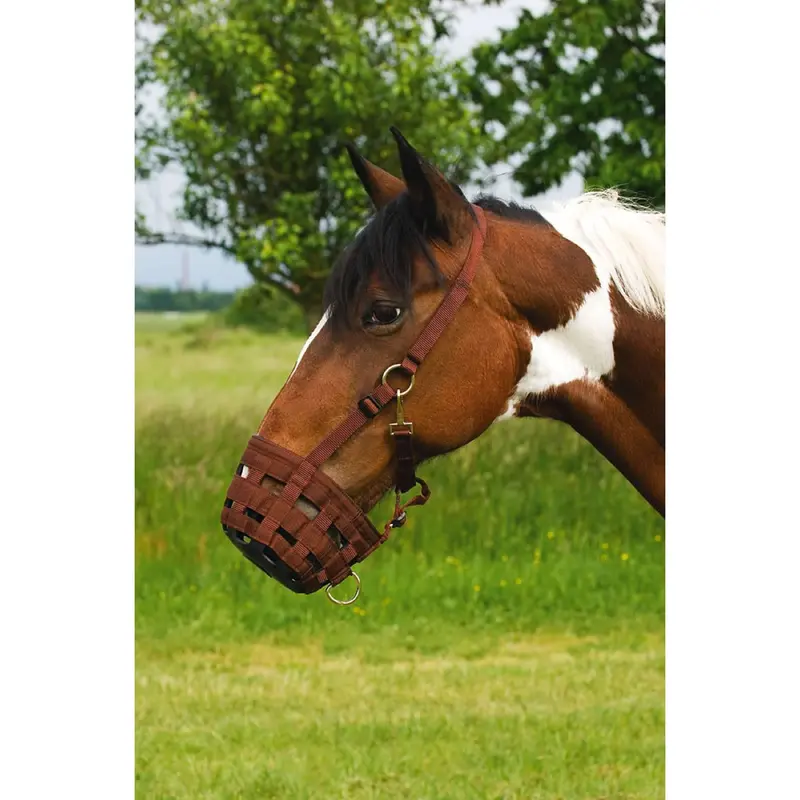 Hippotonic Nylon Grass Mask – Chocolate Color 1