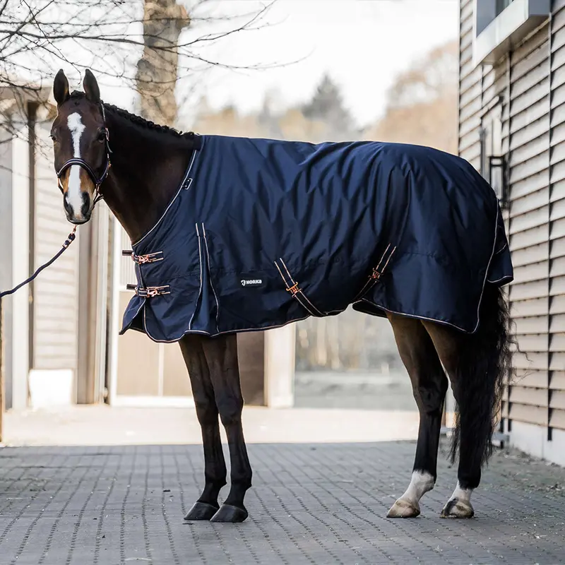 Horka Dime 600D Turnout Blanket – Navy Blue, 200G Insulated Horse Rug 1