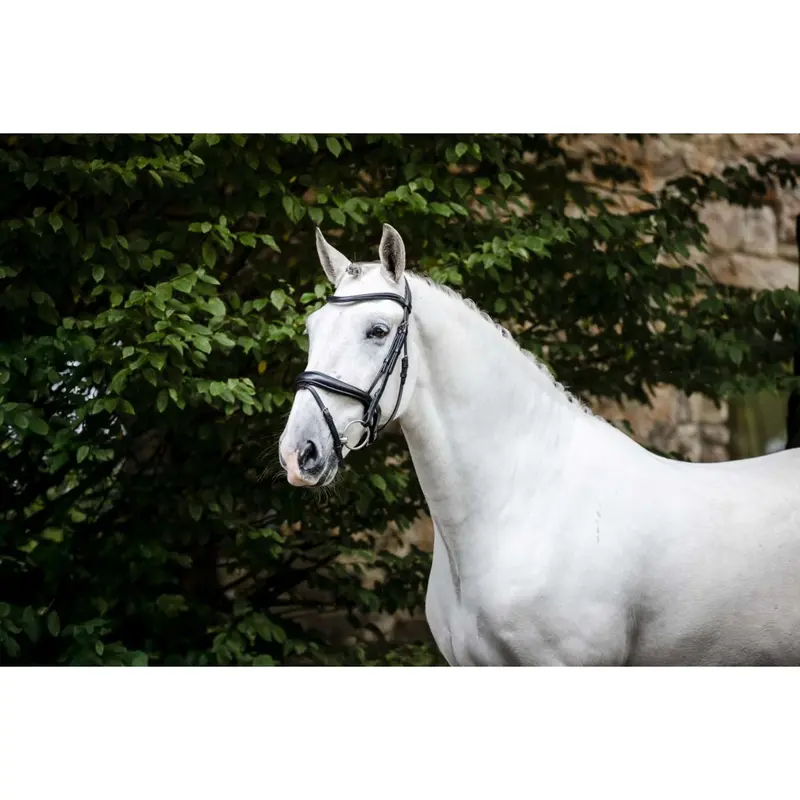 Horseware Dressage Bridle – Black 1