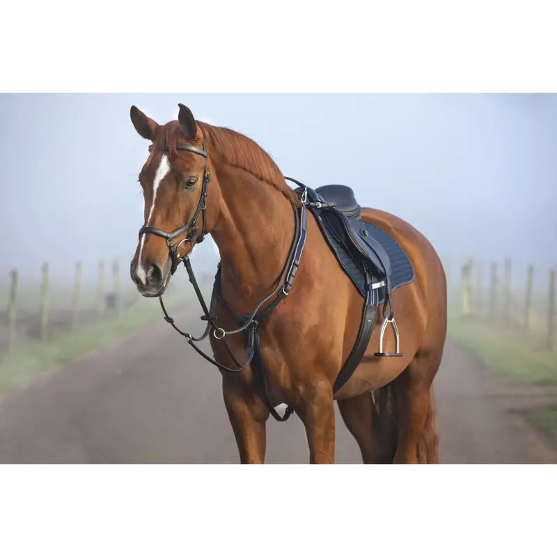 Horseware Micklem Front-Attachment Bridle With Martingale – Black 1