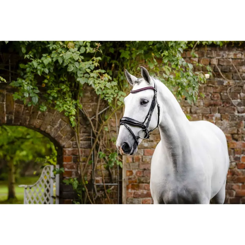Horseware Pony Diamante Flash Bridle – Black & Rose Accents 1