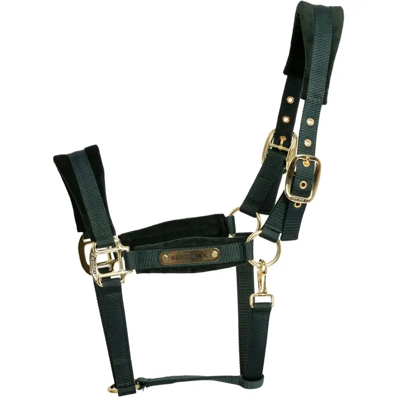 Kentucky Velvet Halter – Pine Green 1