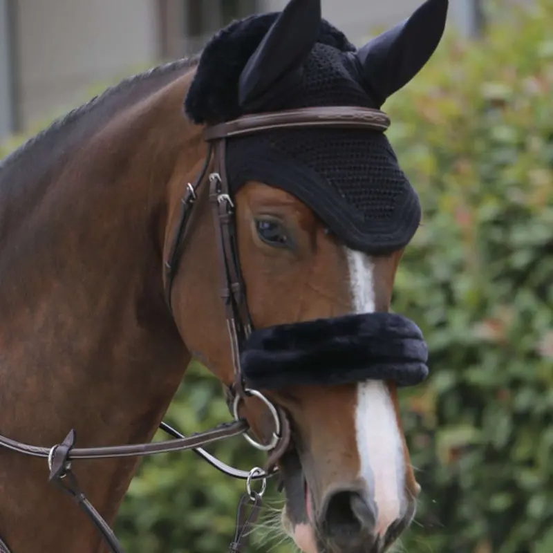 Kentucky Wellington Ear Net – Sleek Black Design For Show Use 1