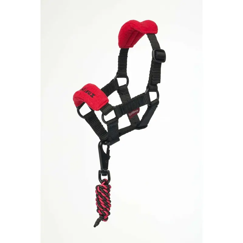 Lemieux Vogue Toy Pony Halter – Chilli Red 1