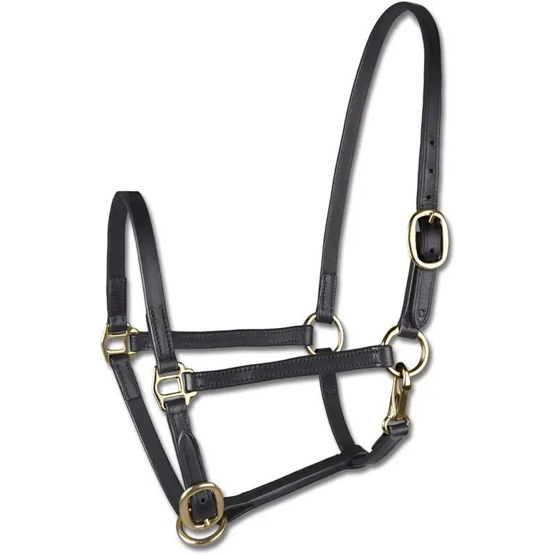 Star Black Foal Halter With Adjustable Forehead Strap 1