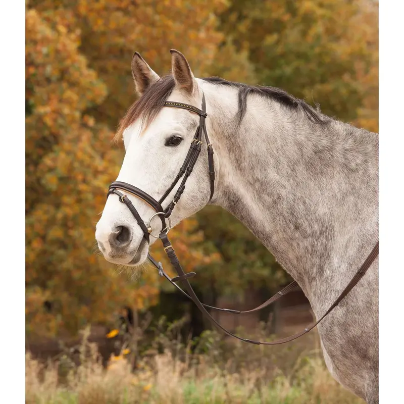 Star Diamond English Bridle – Brown Leather With Gold Accents 1