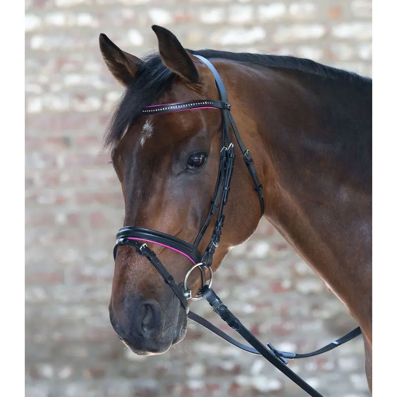 Star Diamond English Bridle – Fuchsia Accent Trim On Black Leather 1