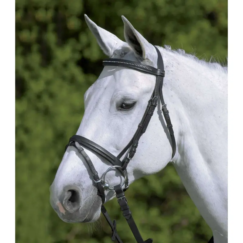 Star Diamond English Bridle – Premium Black Leather With Decorative Stitching 1