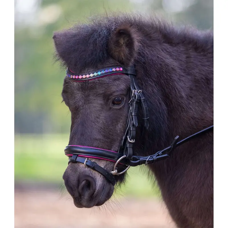 Star Pinky English Bridle – Sleek Black Leather Style 1