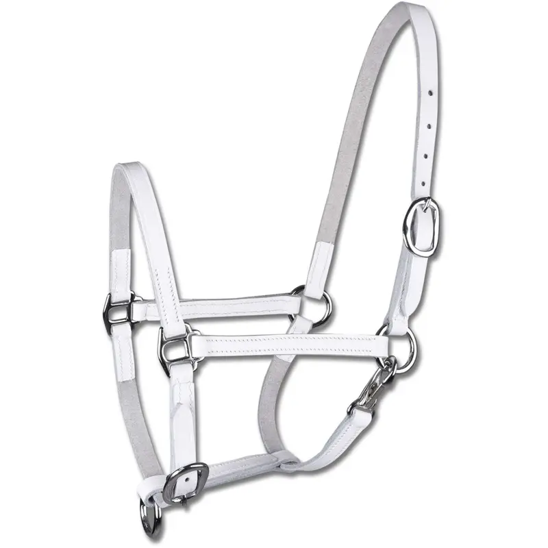 Star White Foal Halter With Soft Padding And Buckle Closure 1