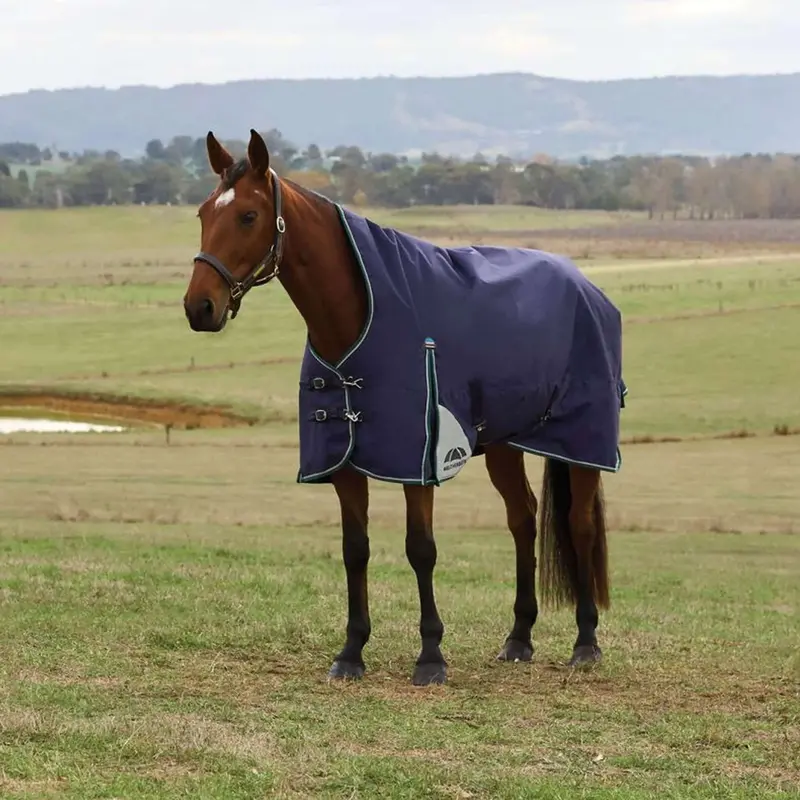 Weatherbeeta Comfitec Plus Dynamic High-Neck Turnout – 220G Heavy-Duty Protection, Navy & Forest Green 1