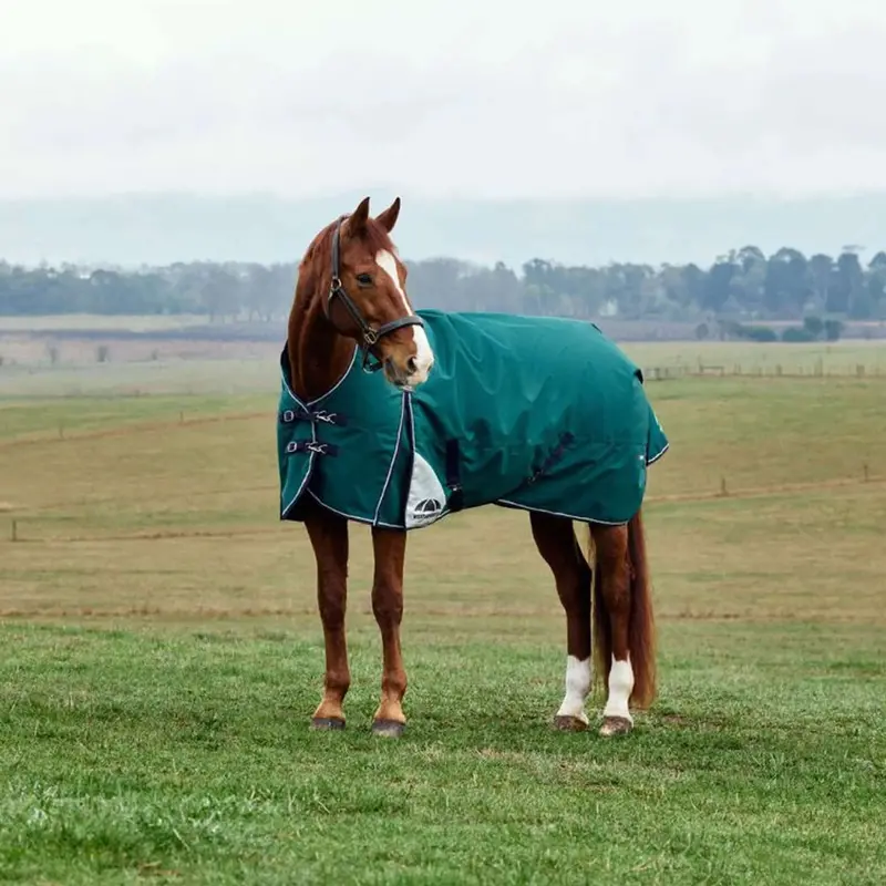 Weatherbeeta Comfitec Plus Dynamic Turnout Blanket – 0G, Forest Green & Navy 1