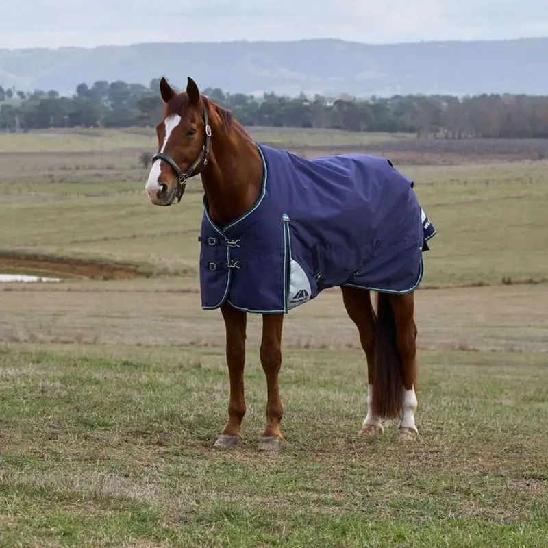 Weatherbeeta Comfitec Plus Dynamic Turnout Blanket – 220G, Navy & Forest Green 1