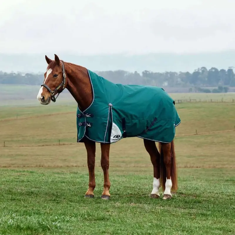 Weatherbeeta Comfitec Plus Dynamic Turnout Blanket – High Neck, 100G, Forest Green & Navy 1
