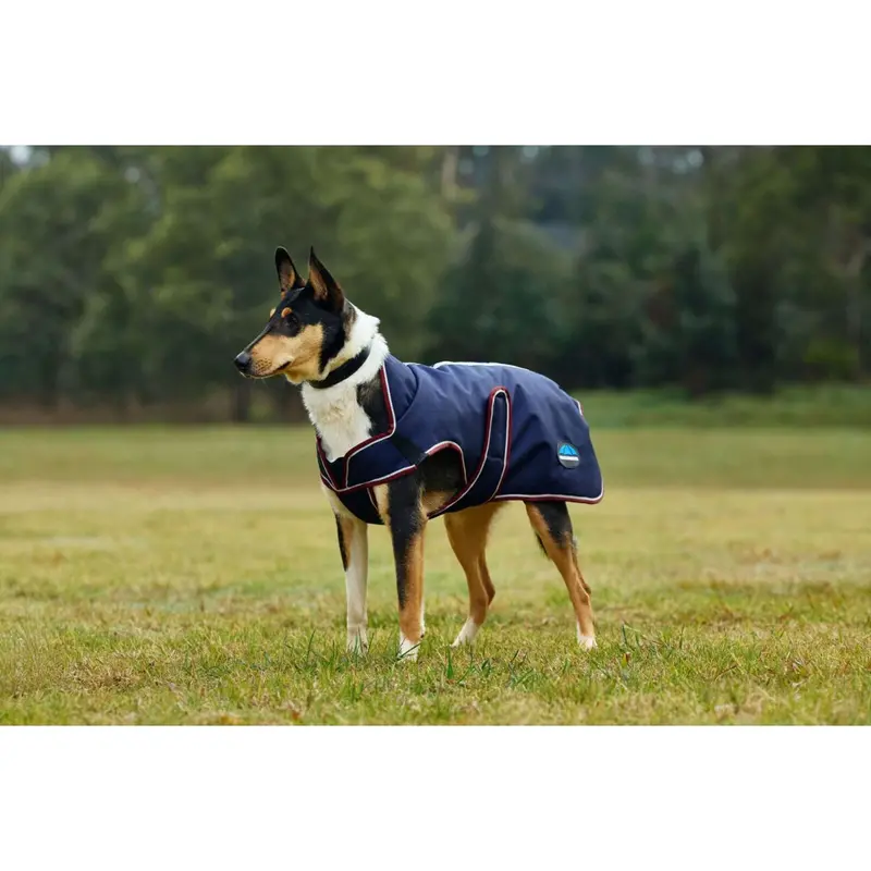 Weatherbeeta Comfitec Premier Deluxe Dog Blanket – Waterproof, Navy & Burgundy 1