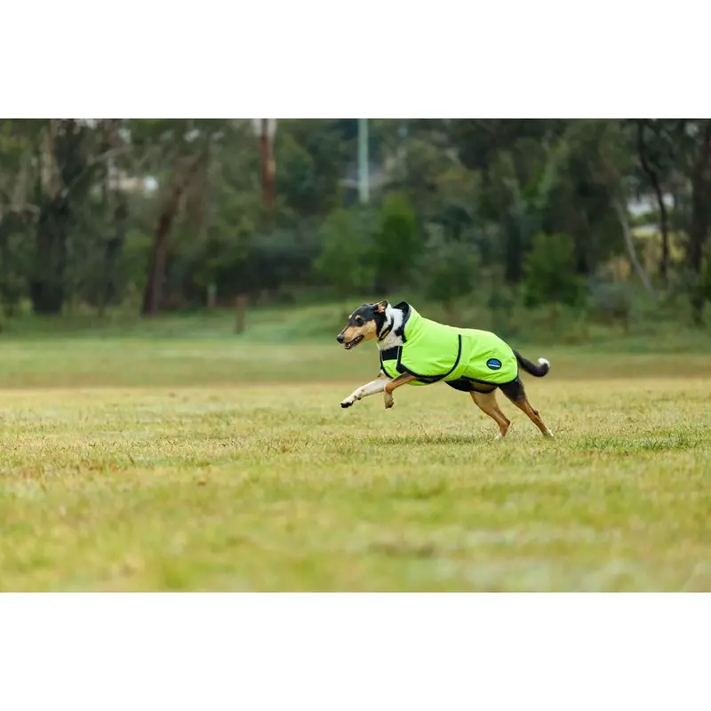 Weatherbeeta Comfitec Reflective Dog Blanket – 300D Deluxe Showerproof, Yellow 1