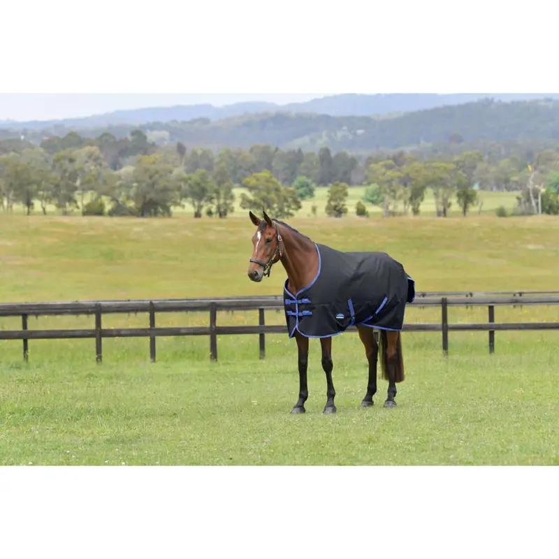 Weatherbeeta Comfitec Tyro Turnout Blanket – Standard Neck, 220G, Black & Cobalt 1